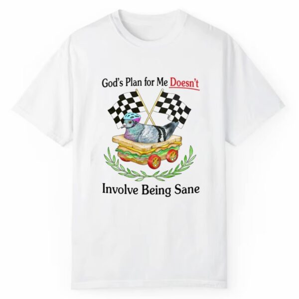 Gods Plan For Me Doesnt Involve Being Sane Shirt 1 2