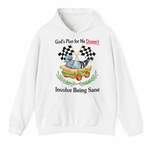 Gods Plan For Me Doesnt Involve Being Sane Shirt 3 4