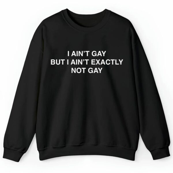 I Aint Gay But I Aint Exactly Not Gay Shirt 2 4