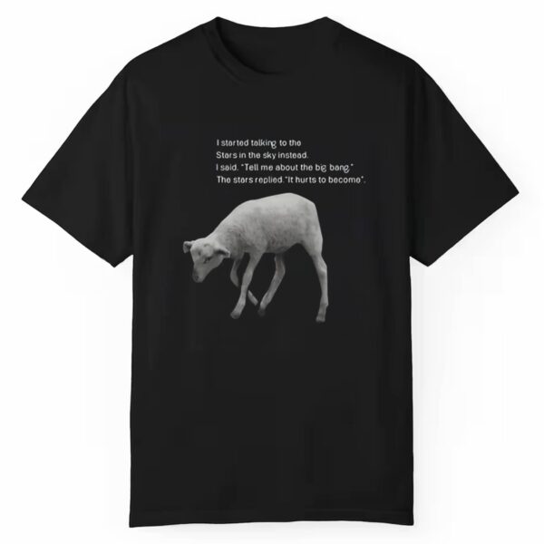 I Started Talking To The Stars In The Sky Instead Shirt 1 1